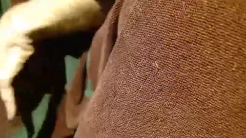 Snapshot of dunany101 chatting on 5, 3, 2025 dunany101 online show from 5, 3, 2025