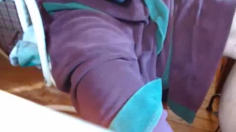 Snapshot of dunany101 chatting on 7, 3, 2025 dunany101 online show from 7, 3, 2025