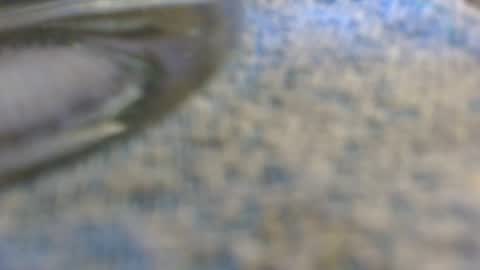 Snapshot of dunany101 chatting on 2, 11, 2025 dunany101 online show from 2, 11, 2025