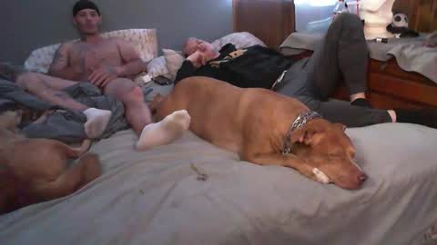 Snapshot of dustinwyant1983 chatting on 8, 11, 2025 dustinwyant1983 online show from 8, 11, 2025