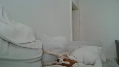 Snapshot of dustyroy09 chatting on 14, 2, 2025 dustyroy09 online show from 14, 2, 2025