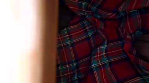 dVe1oPe online show from 8, 11, 2025