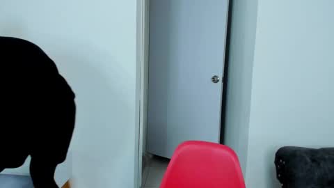 Snapshot of dylantaylor_1 chatting on 5, 10, 2025 Dylan Taylor online show from 5, 10, 2025