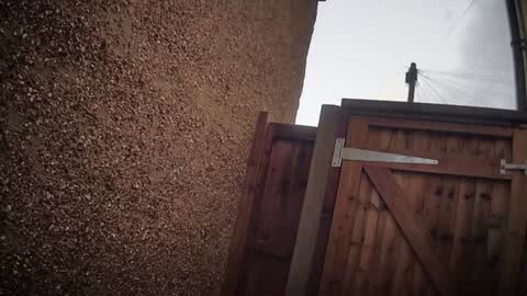 Snapshot of eatmypie69 chatting on 6, 2, 2026 Nadia Ferreira online show from 6, 2, 2026