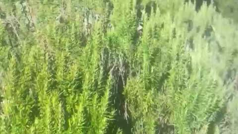 Snapshot of ebnk15 chatting on 21, 10, 2025 ebnk15 online show from 21, 10, 2025