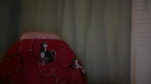 americnbarbie online show from 21, 11, 2025