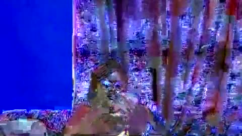 ebonybloom01 online show from 20, 9, 2025