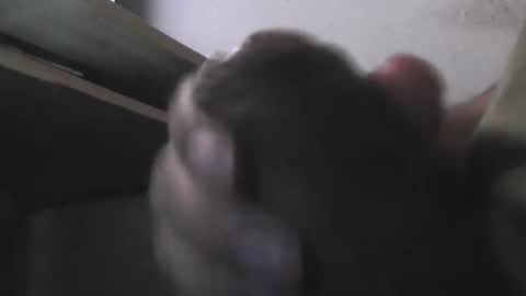 Snapshot of eddie69117 chatting on 5, 11, 2025 EddiesCock69 online show from 5, 11, 2025