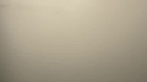 Snapshot of eddygl1968 chatting on 12, 2, 2026 Eddy online show from 12, 2, 2026