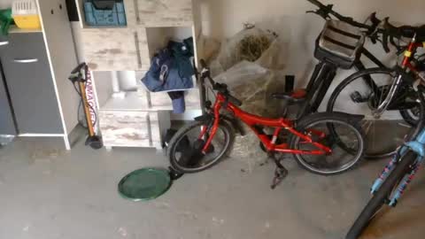 Snapshot of edelholz87 chatting on 16, 7, 2026 edelholz87 online show from 16, 7, 2026