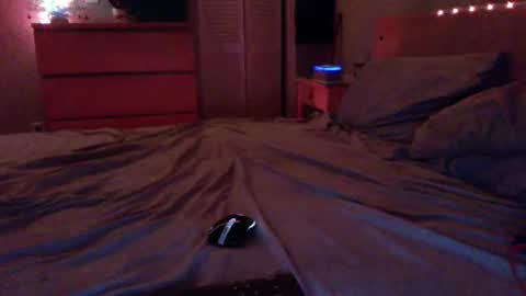 Snapshot of edgymaster chatting on 17, 12, 2025 Steven online show from 17, 12, 2025