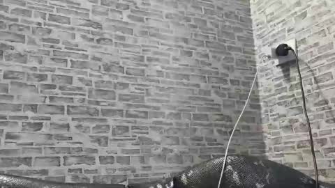 Snapshot of edithmanning chatting on 27, 2, 2025 edithmanning online show from 27, 2, 2025