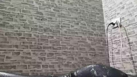 Snapshot of edithmanning chatting on 6, 3, 2025 edithmanning online show from 6, 3, 2025