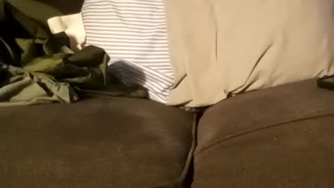 edmore1215 online show from 11, 12, 2024