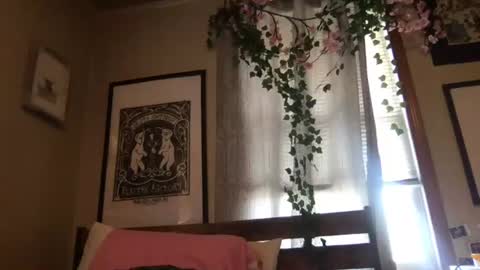 eggnog_and_booty online show from 9, 7, 2026