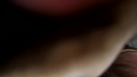 Snapshot of ehdgher chatting on 21, 4, 2026 ehdgher online show from 21, 4, 2026