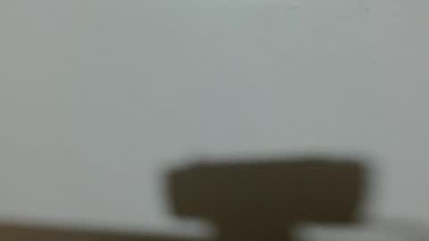 ela_3611 online show from 4, 2, 2025