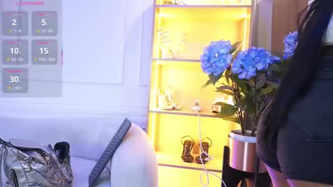 Elasummeer online show from 6, 11, 2025