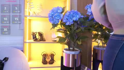 Elasummeer online show from 10, 11, 2025