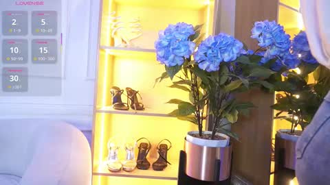 Elasummeer online show from 17, 11, 2025