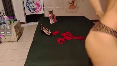 Snapshot of elektra_and_konan_01 chatting on 20, 9, 2025 Elektra and Konan online show from 20, 9, 2025