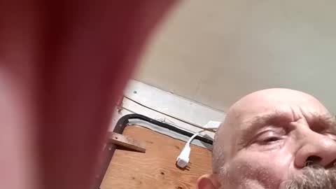 elfisum2 online show from 7, 5, 2026