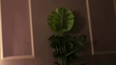 Snapshot of eli_llie chatting on 18, 2, 2025 Eli online show from 18, 2, 2025