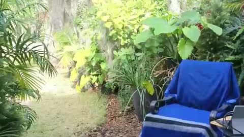 Snapshot of eliberator chatting on 18, 1, 2025 eliberator online show from 18, 1, 2025