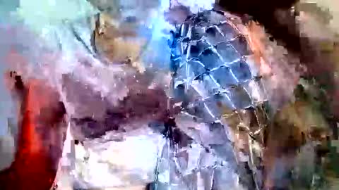 elina_roy03 online show from 6, 11, 2025