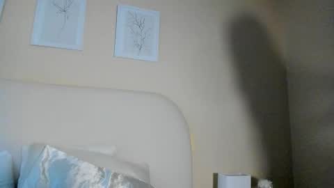 Snapshot of eliza_sanz chatting on 2, 12, 2025 My name is ElizaPVT is open online show from 2, 12, 2025