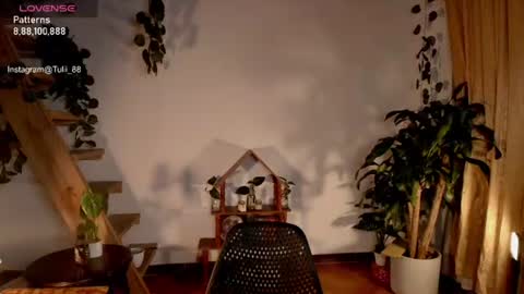 Snapshot of elizabethz chatting on 22, 6, 2026 Tuli online show from 22, 6, 2026