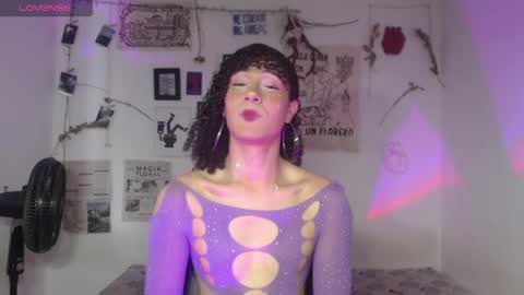  . online show from 21, 2, 2026