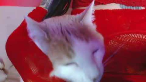 Natalia online show from 25, 6, 2026