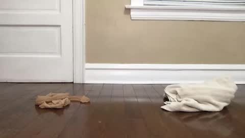 Snapshot of eltruerey chatting on 15, 10, 2025 Bi Bro online show from 15, 10, 2025