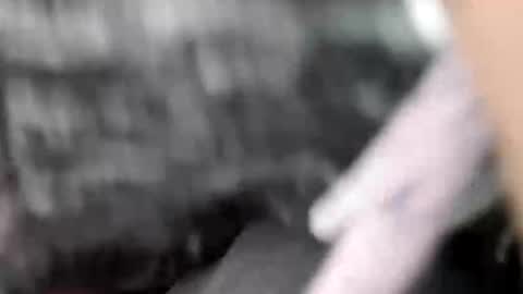 elvergg1 online show from 1, 2, 2026