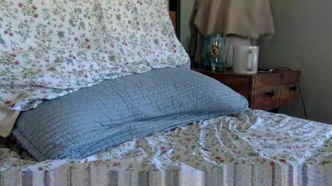 elviscash online show from 9, 4, 2026