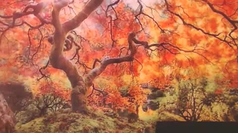 Snapshot of ember_starleena chatting on 29, 9, 2025 Ember Starleena online show from 29, 9, 2025