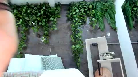 Emily online show from 26, 7, 2026