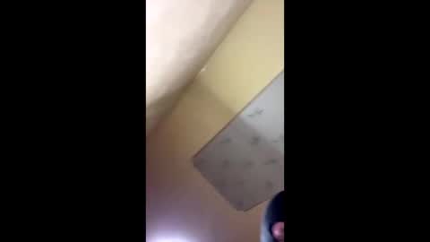 Snapshot of emillycutemurr_ chatting on 14, 10, 2025 Emily online show from 14, 10, 2025