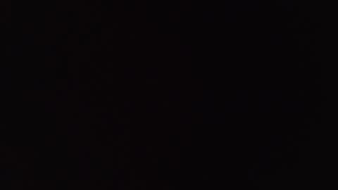       online show from 13, 11, 2025