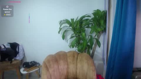 Snapshot of emilyhines__ chatting on 31, 1, 2026 Emilyhines online show from 31, 1, 2026