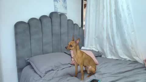 emma_saenz01 online show from 12, 2, 2026