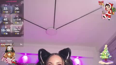 neko  online show from 22, 12, 2024