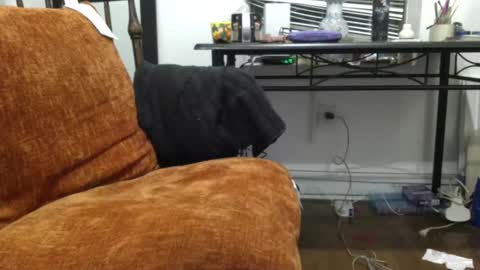 Snapshot of empusalamia chatting on 18, 1, 2025 empusalamia online show from 18, 1, 2025