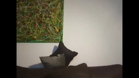 Snapshot of erik_69_69 chatting on 18, 10, 2025 erik_69_69 online show from 18, 10, 2025