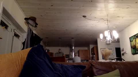 eros online show from 13, 12, 2024