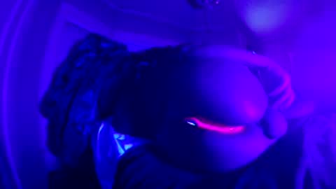 Erotic  Kryptonite online show from 23, 2, 2026