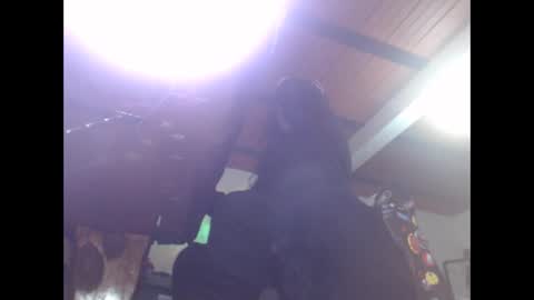 Snapshot of eskelaswd chatting on 16, 2, 2025 Eskela911 online show from 16, 2, 2025