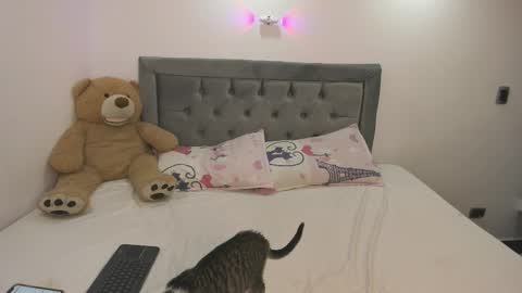 estehefany_gil online show from 8, 1, 2026