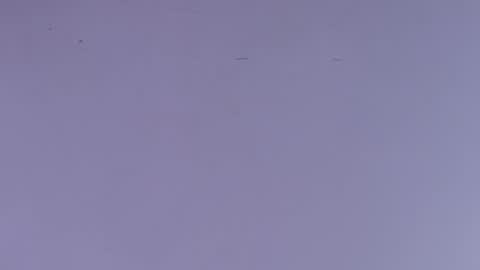 Estrella online show from 1, 10, 2025